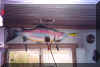 Catch_of_the_Day.jpg (49488 bytes)