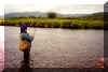 Cooks_Fishing.jpg (63660 bytes)