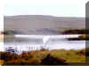 Going_Home.jpg (104595 bytes)