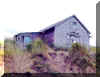 House_on_the_Hill.jpg (246600 bytes)