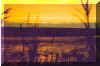 Sunset3.jpg (136861 bytes)