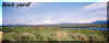 Tundra View 2.jpg (14420 bytes)